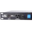 ADJ ELIMINATOR E-107 USB REGLETA 9 ENCHUFES Y 2 PUERTOS USB