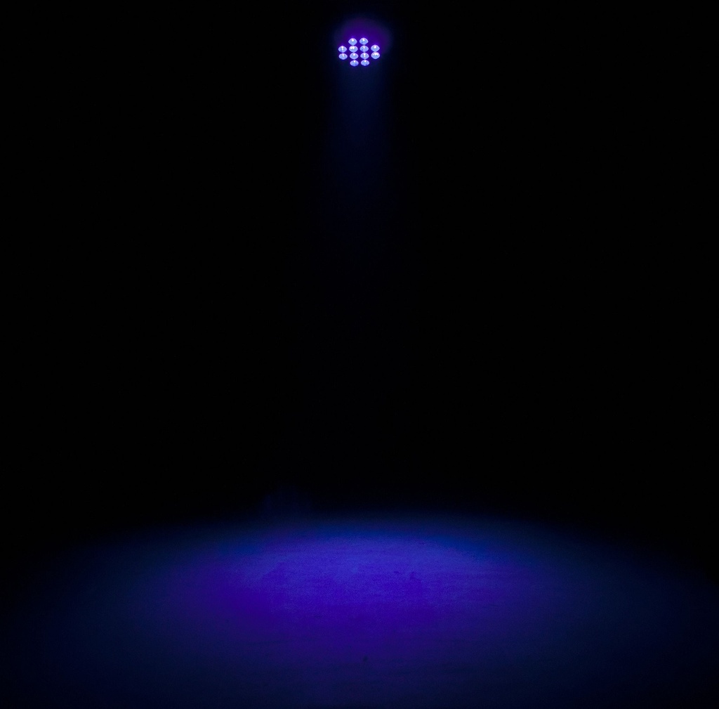 ADJ ELIMINATOR LP 12 HEX LUZ PAR RGBWA+UV DMX 12 LED x 5W