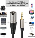 SOUND HARBOR Cable De Audio Mini Plug Estéreo a XLR Hembra 2mts