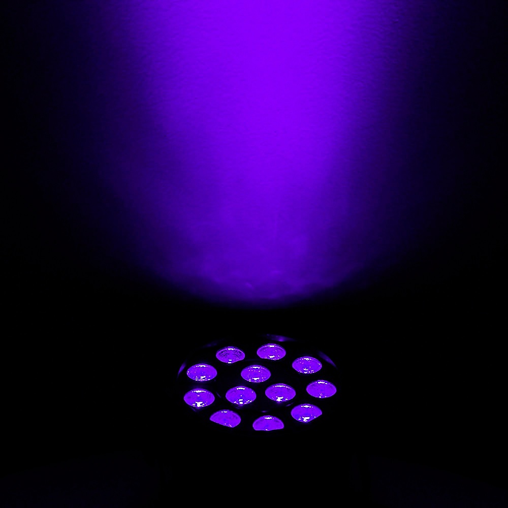 ADJ ELIMINATOR LIGHTINGS LUZ NEGRA EN MINIATURA 12W
