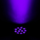 ADJ ELIMINATOR LIGHTINGS LUZ NEGRA EN MINIATURA 12W